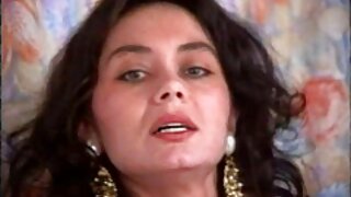 مال غنیمت پیلڈ brune ...