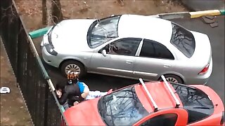سینگ سفید کتیا اور ب ...